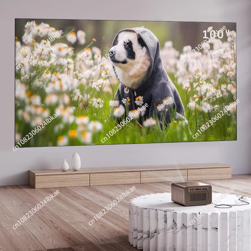 Tela de projeção fixa de 100 p - Projector Screen 100 Inch avaliação e preço